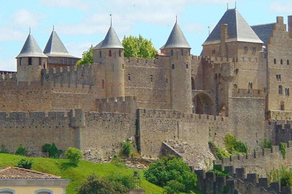 Spacieux Appartement Au Pied De La Cite Medievale Carcassonne Zewnętrze zdjęcie