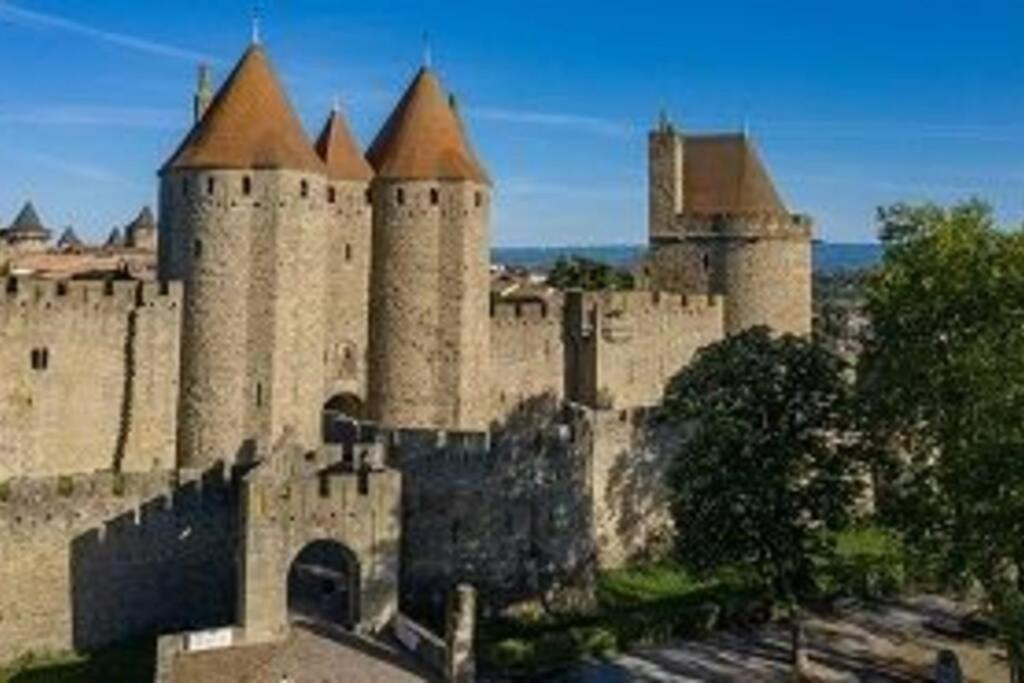 Spacieux Appartement Au Pied De La Cite Medievale Carcassonne Zewnętrze zdjęcie