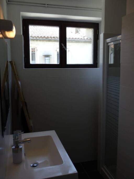 Spacieux Appartement Au Pied De La Cite Medievale Carcassonne Zewnętrze zdjęcie